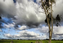 Fintech 2025: New Waves of Innovation, Security, and User Experience: Prepare for the Next Financial Revolution